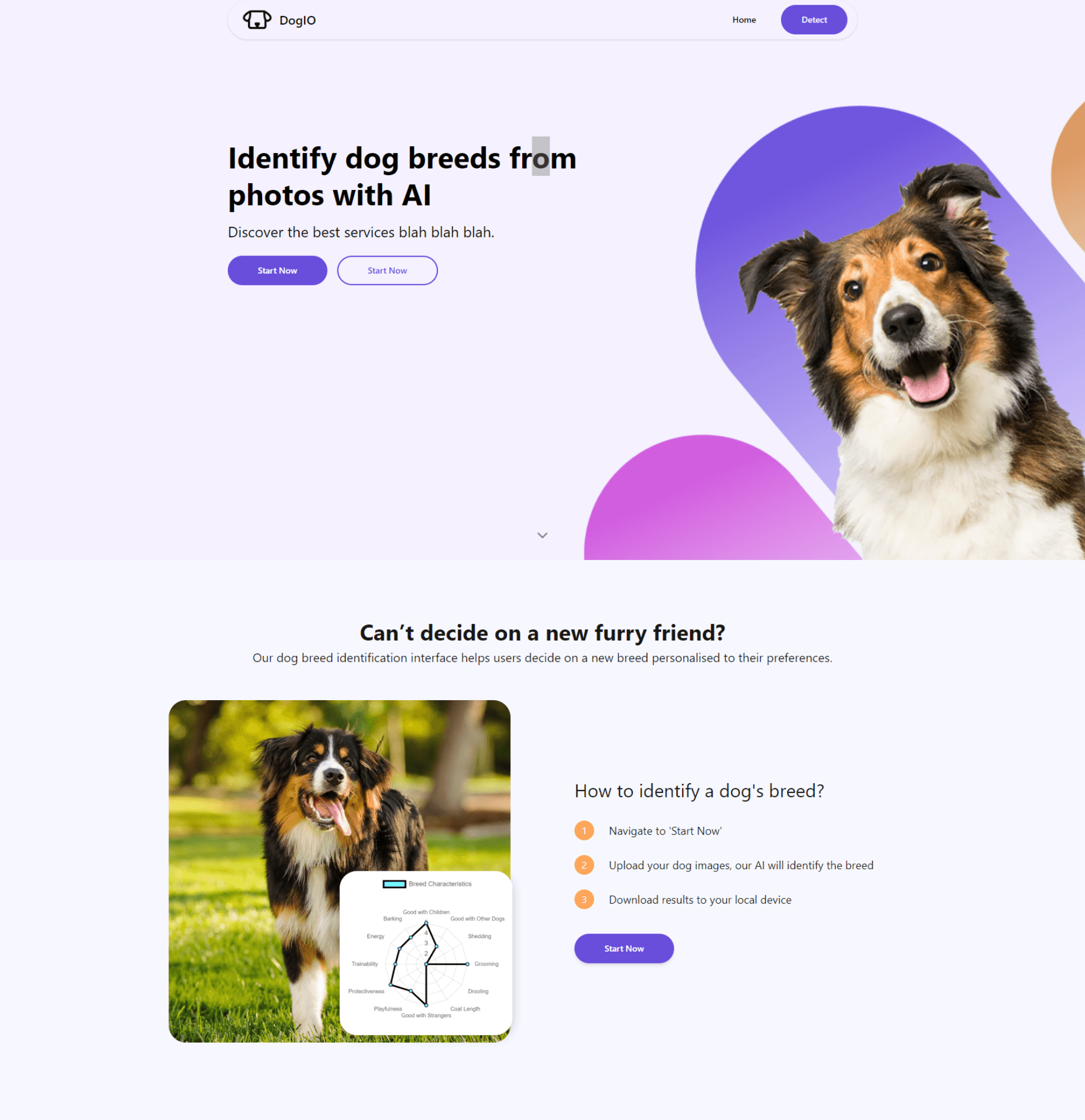 Web App to Help Aspiring Dog owners